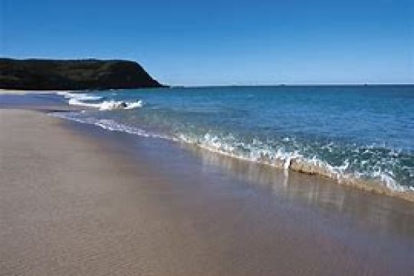 birdie-beach-2FA02CE9C-0DBD-9692-CF3D-8B47A442C729.jpg